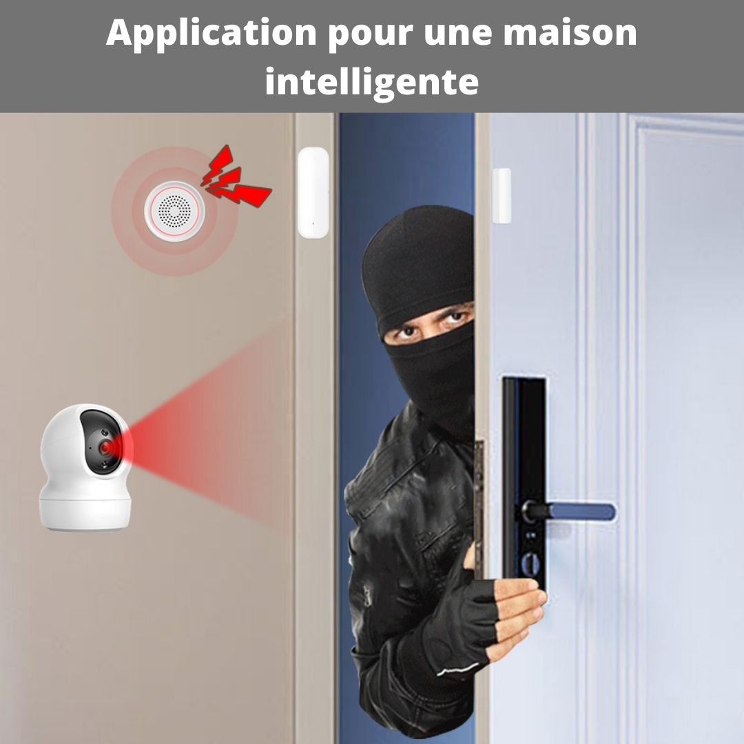 securite-et-surveillance